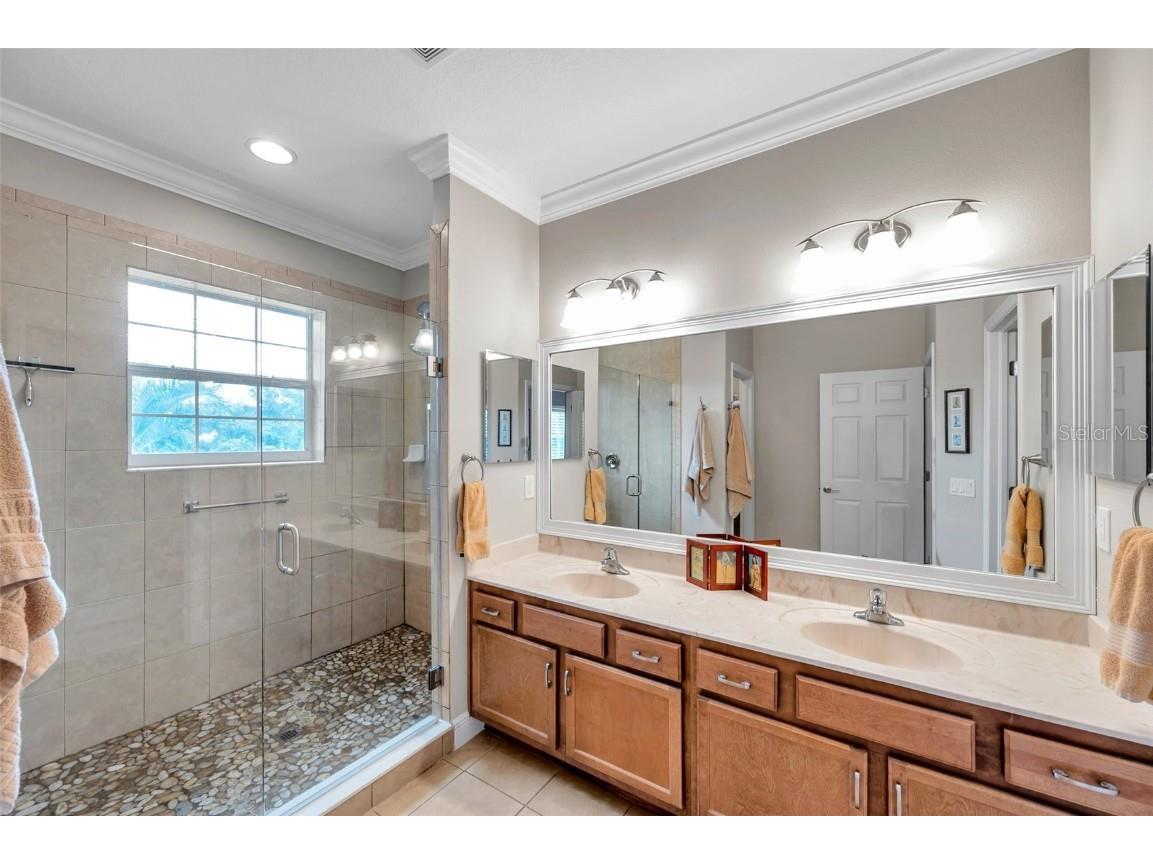 4717 Osprey Ridge Circle Palm Harbor FL 34684 TB8386291 image18