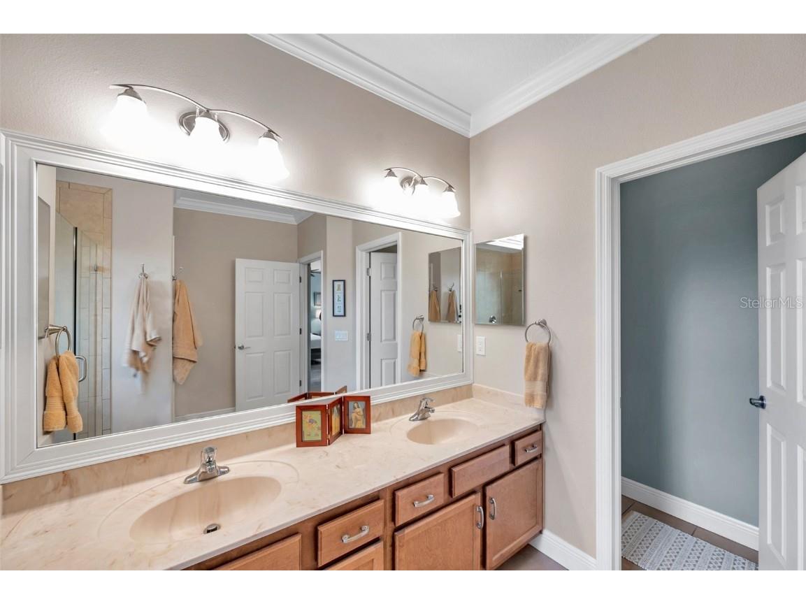 4717 Osprey Ridge Circle Palm Harbor FL 34684 TB8386291 image19