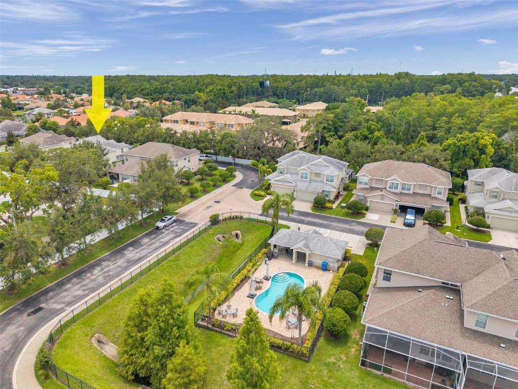 4717 Osprey Ridge Circle Palm Harbor FL 34684 TB8386291 image38