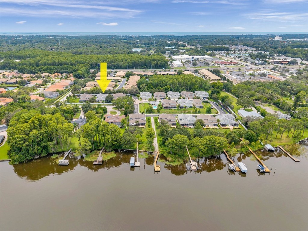 4717 Osprey Ridge Circle Palm Harbor FL 34684 TB8386291 image39