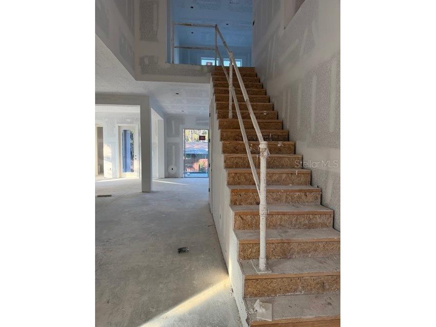 4717 W Laurel Road Tampa FL 33629 TB8443308 image6