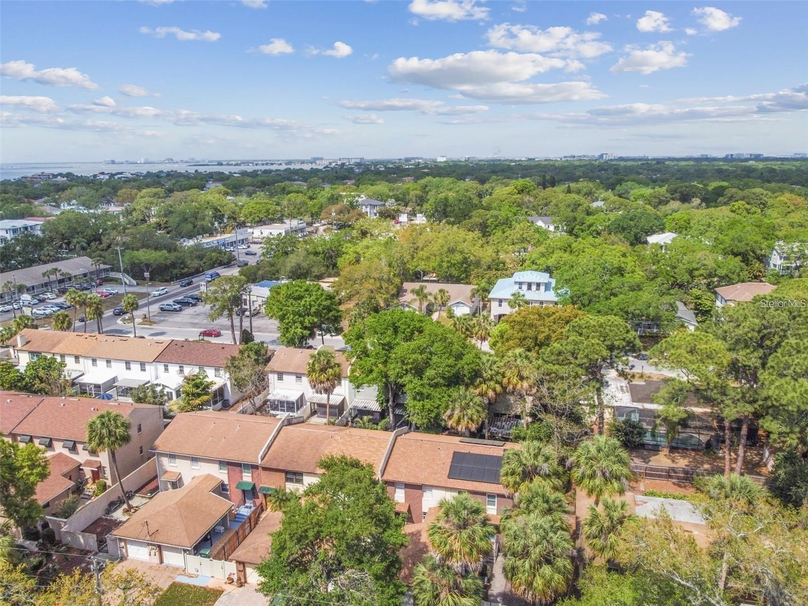 4717 W Vasconia Street Tampa FL 33629 TB8494154 image36