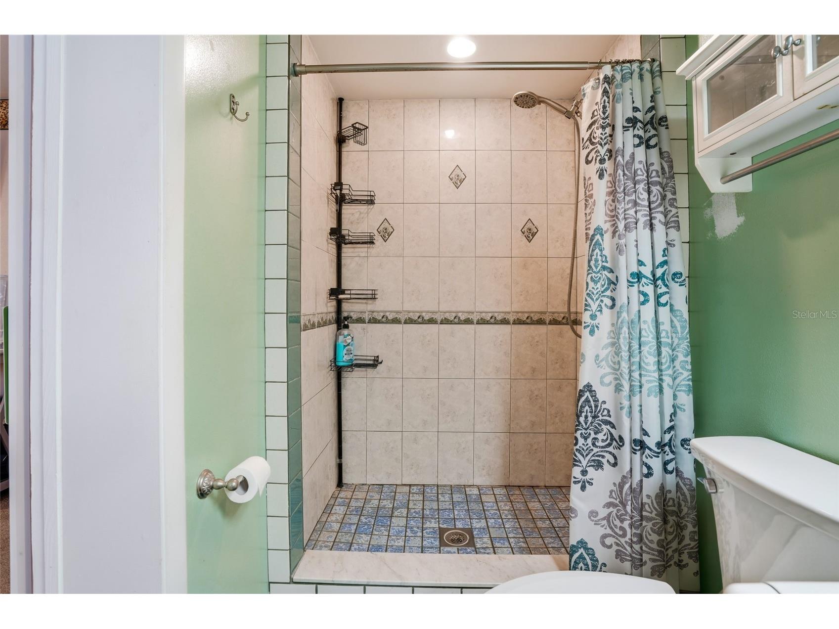 4718 Alpine Road Land O Lakes FL 34639 TB8474377 image12