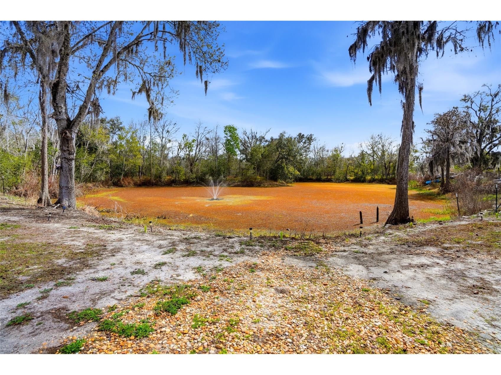 4718 Alpine Road Land O Lakes FL 34639 TB8474377 image24