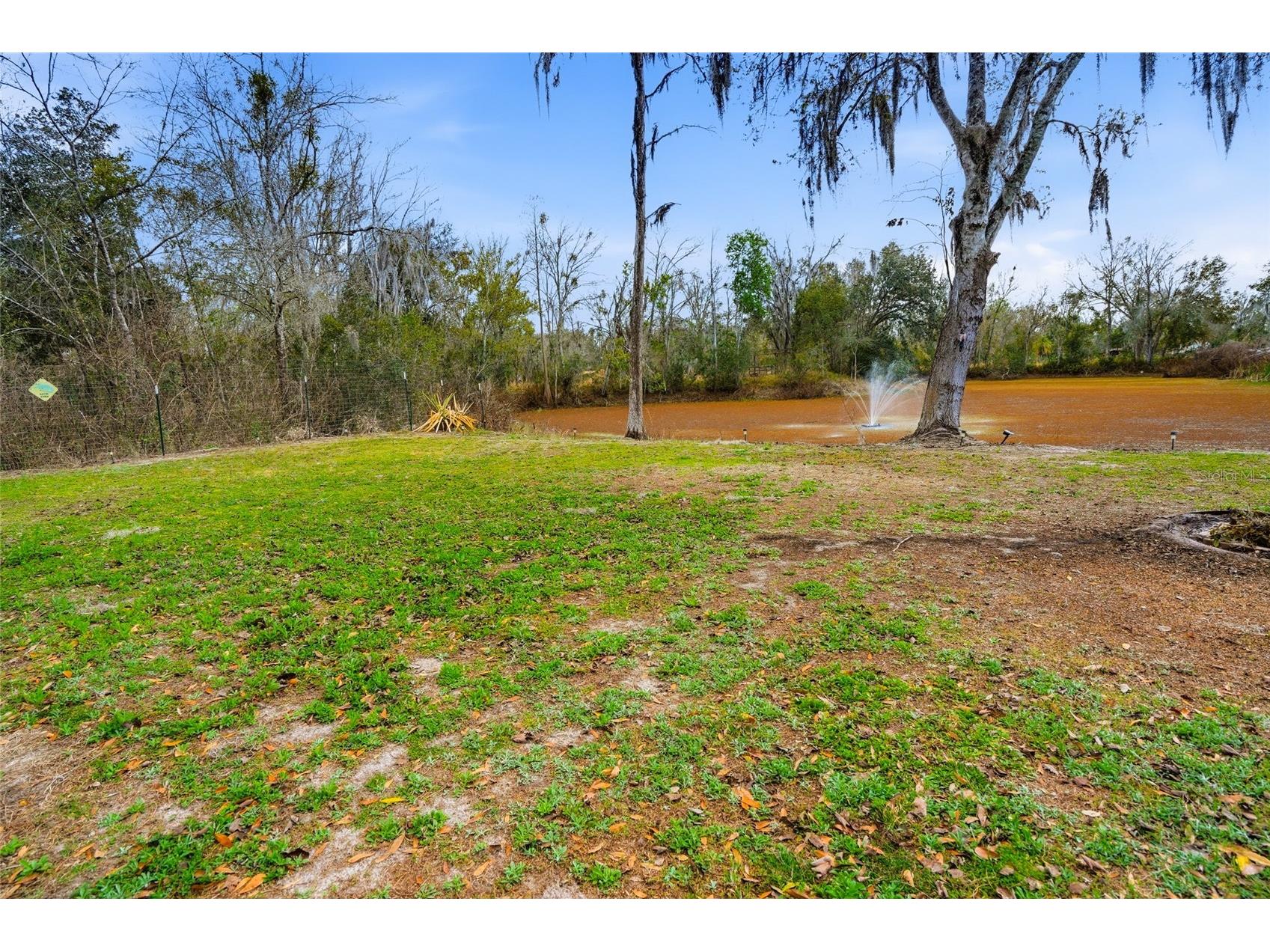 4718 Alpine Road Land O Lakes FL 34639 TB8474377 image28