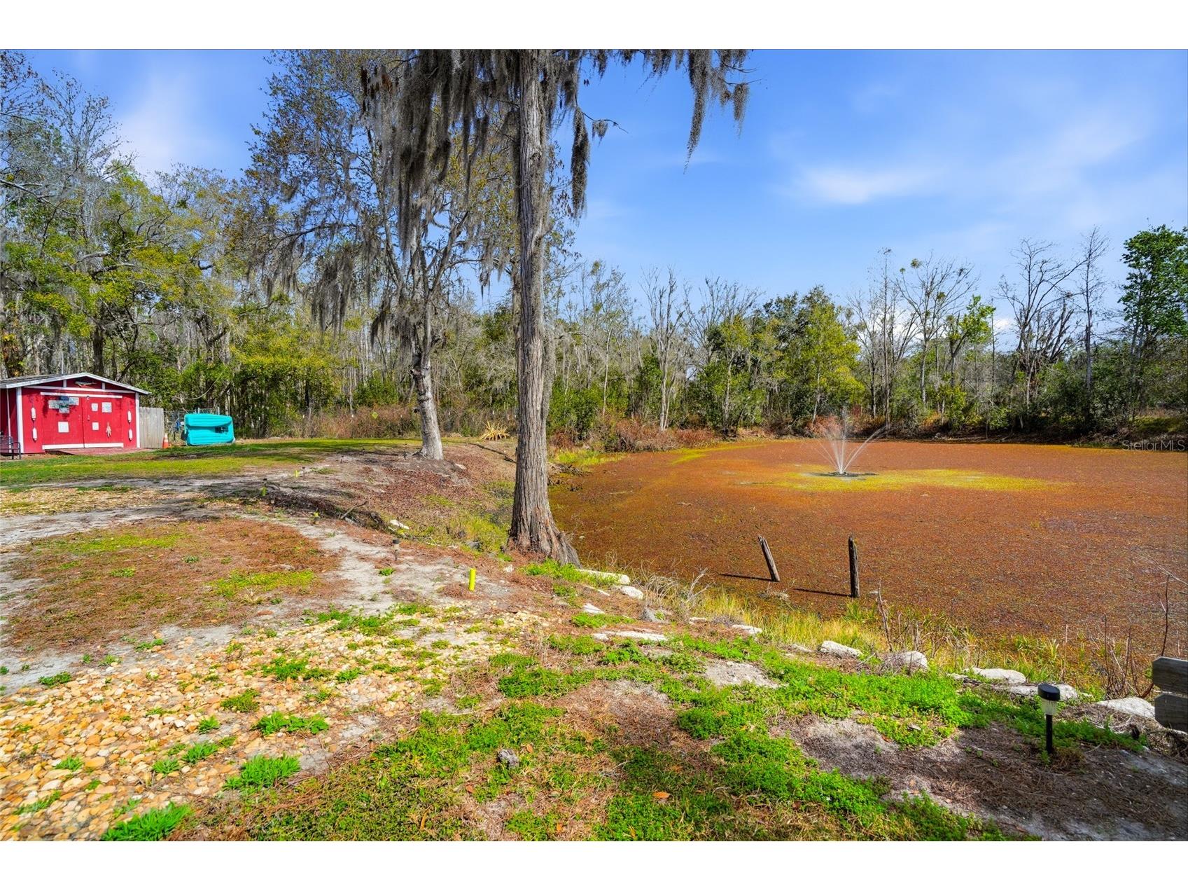 4718 Alpine Road Land O Lakes FL 34639 TB8474377 image30