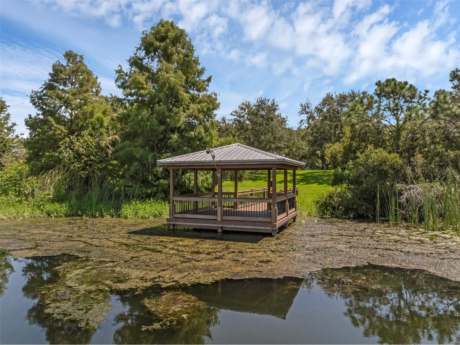 4718 Blue Major Drive Windermere FL 34786 O6410820 image37