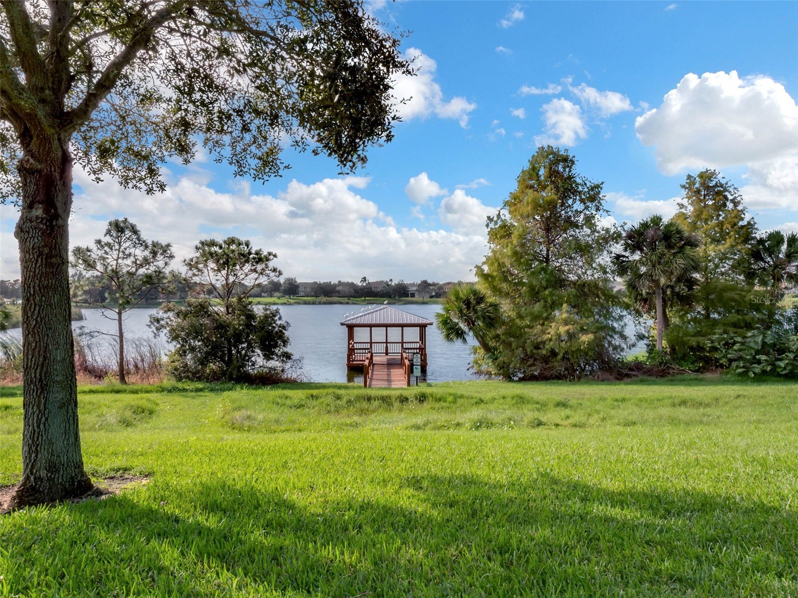 4718 Blue Major Drive Windermere FL 34786 O6410820 image38