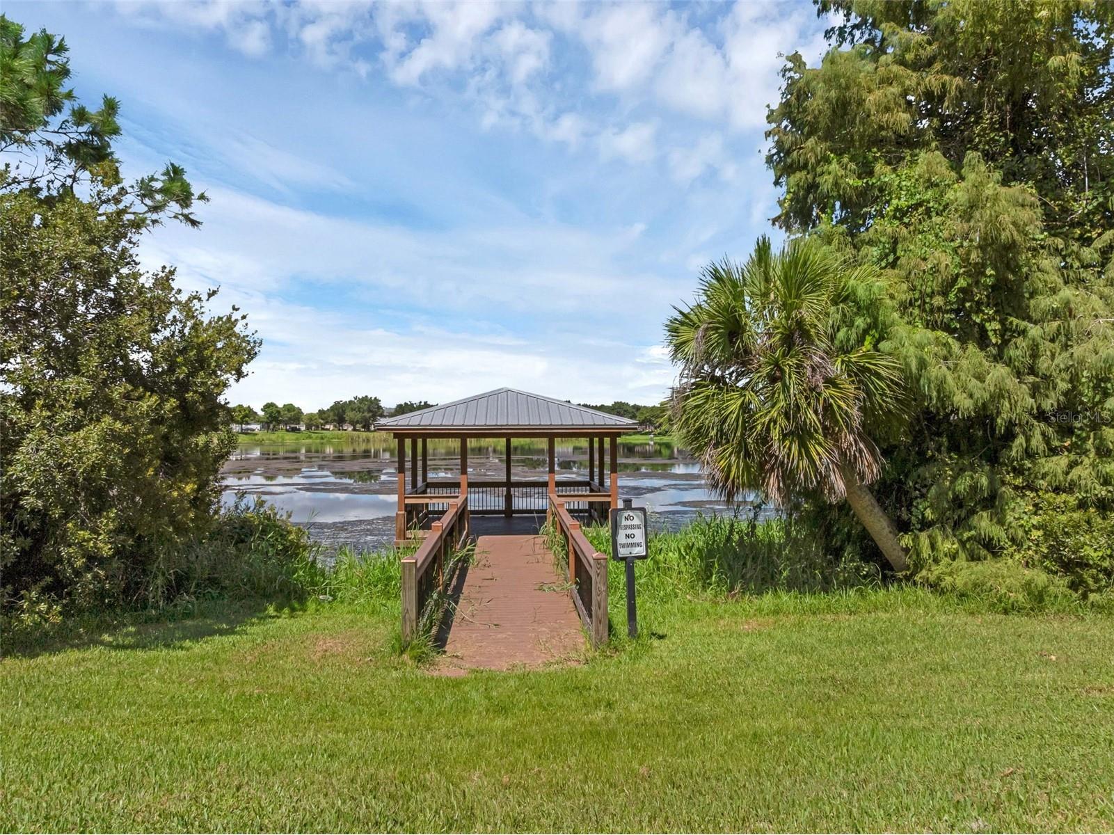 4718 Blue Major Drive Windermere FL 34786 O6410820 image39