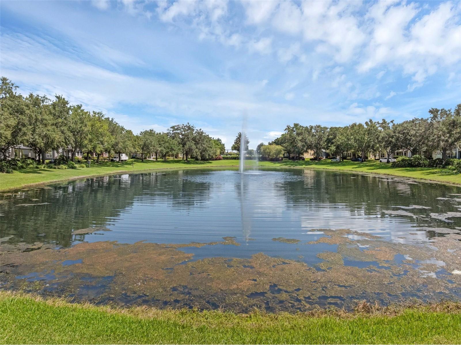 4718 Blue Major Drive Windermere FL 34786 O6410820 image41