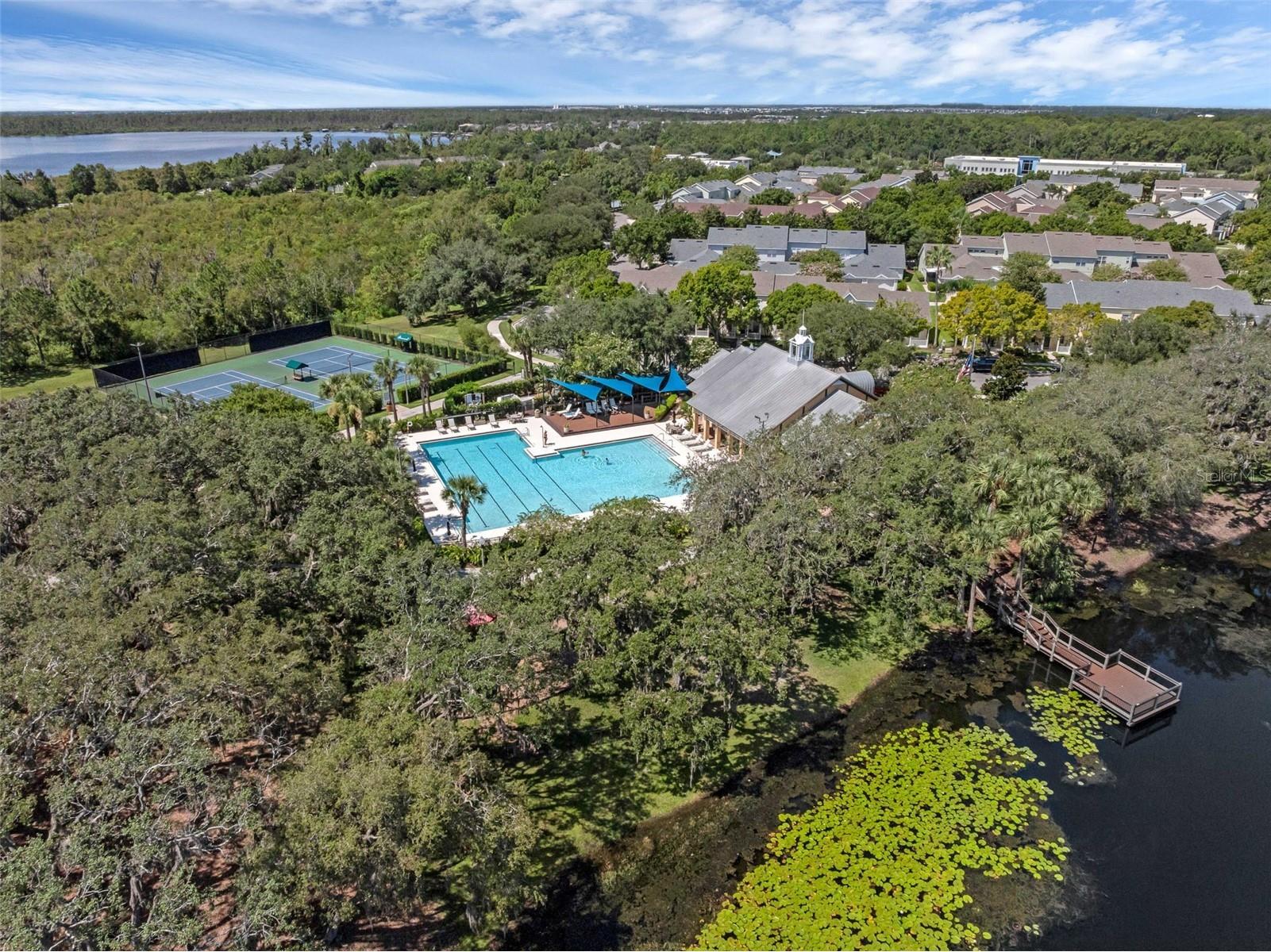 4718 Blue Major Drive Windermere FL 34786 O6410820 image60