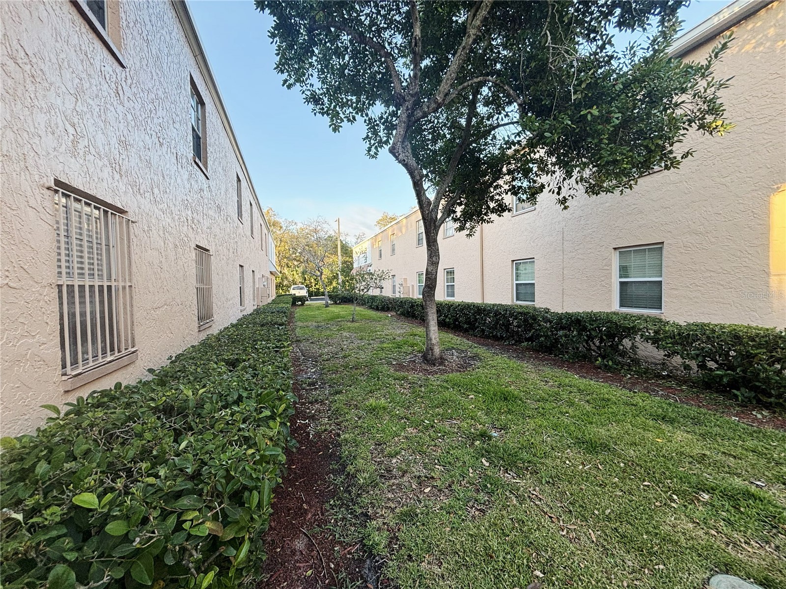 4718 Christa Court #317 Tampa FL 33614 TB8482084 image17