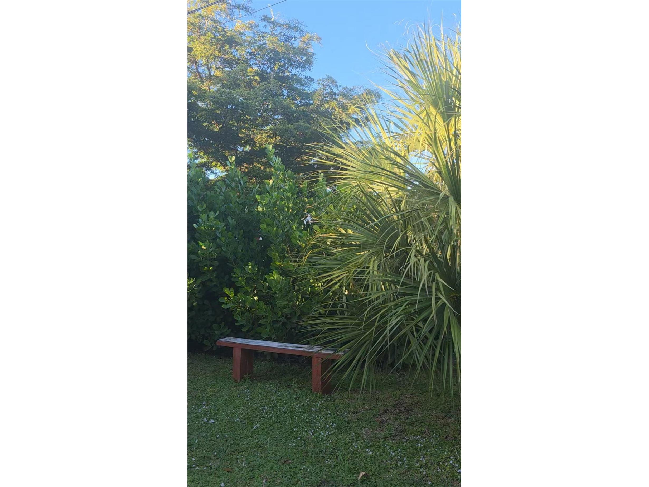 4718 Crystal Avenue Sarasota FL 34231 O6396425 image25