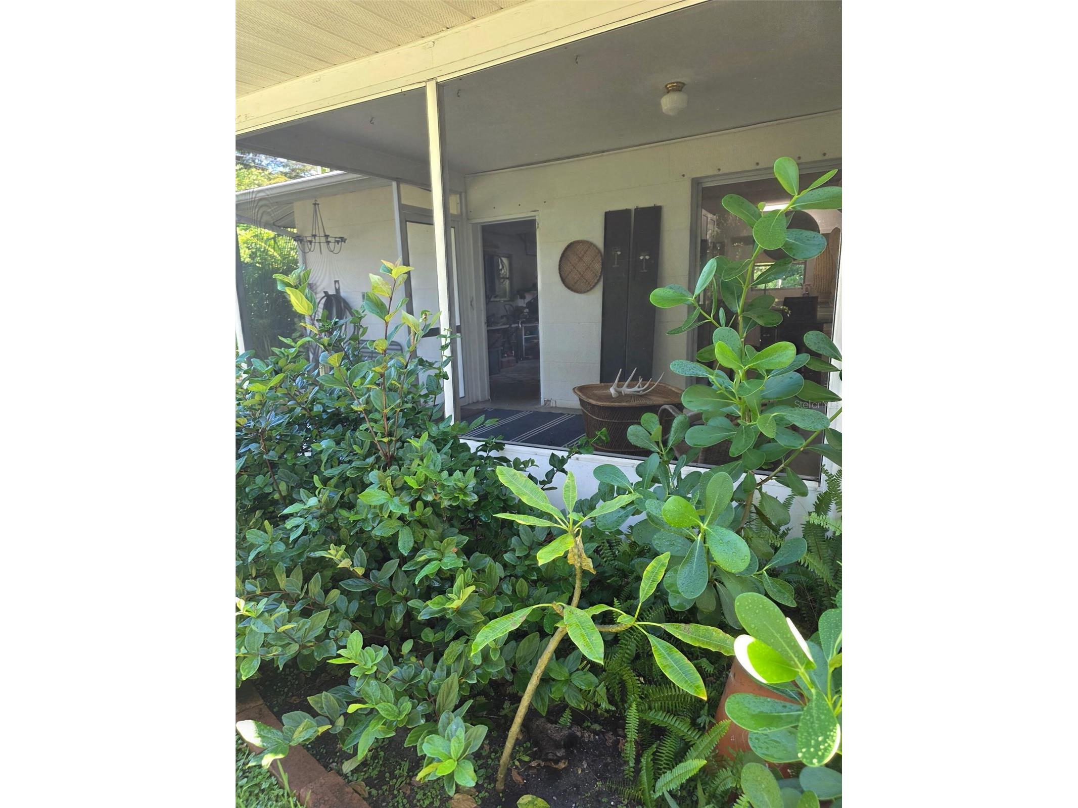 4718 Crystal Avenue Sarasota FL 34231 O6396425 image6