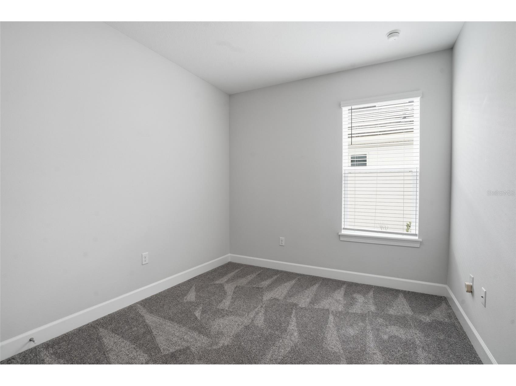 4718 Garofalo Road Wesley Chapel FL 33545 TB8528290 image10