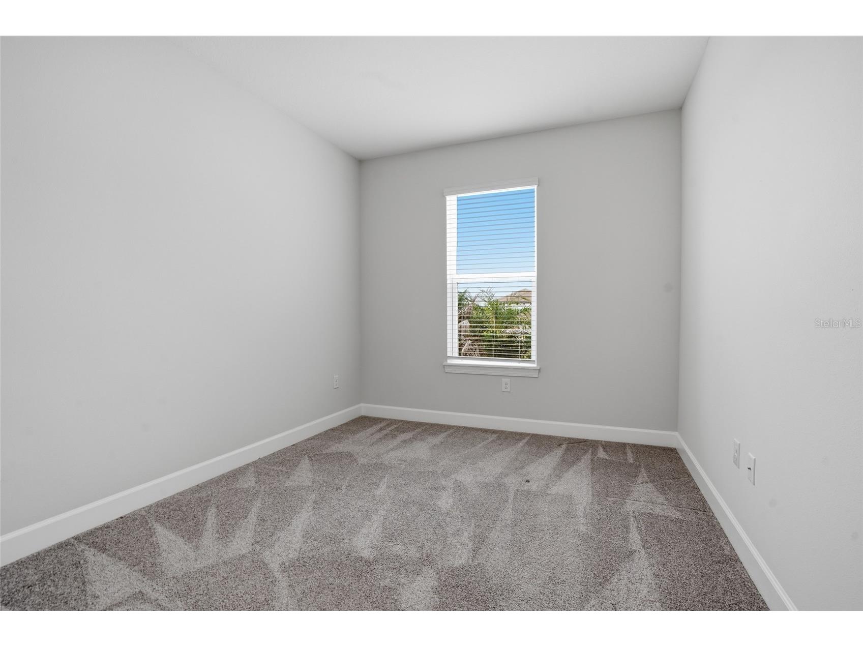 4718 Garofalo Road Wesley Chapel FL 33545 TB8528290 image13