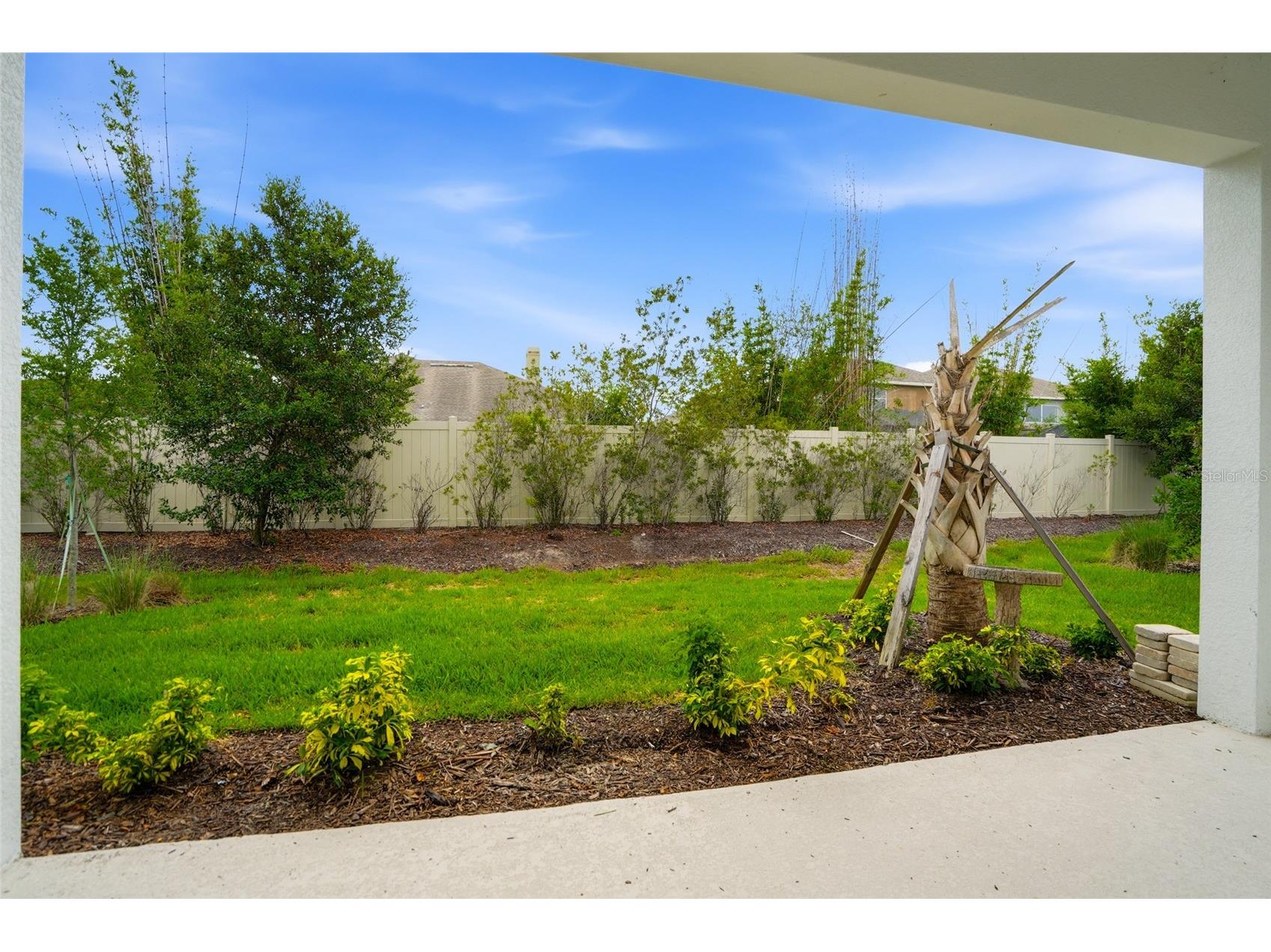 4718 Garofalo Road Wesley Chapel FL 33545 TB8528290 image14