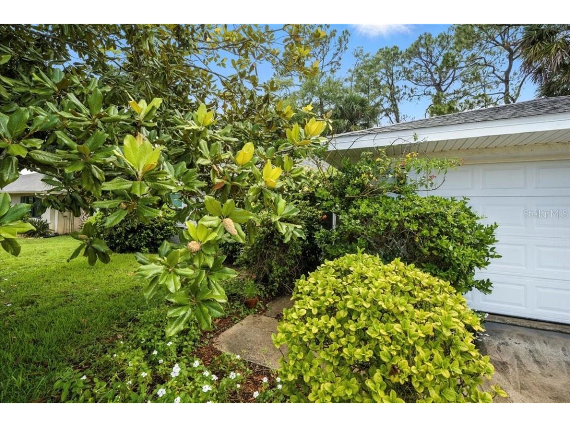 4718 Hidden Lake Drive Port Orange FL 32129 FC311113 image4