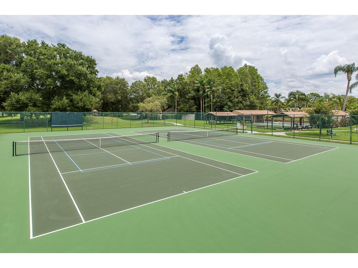 4719 Cavendish Drive New Port Richey FL 34655 W7879051 image43