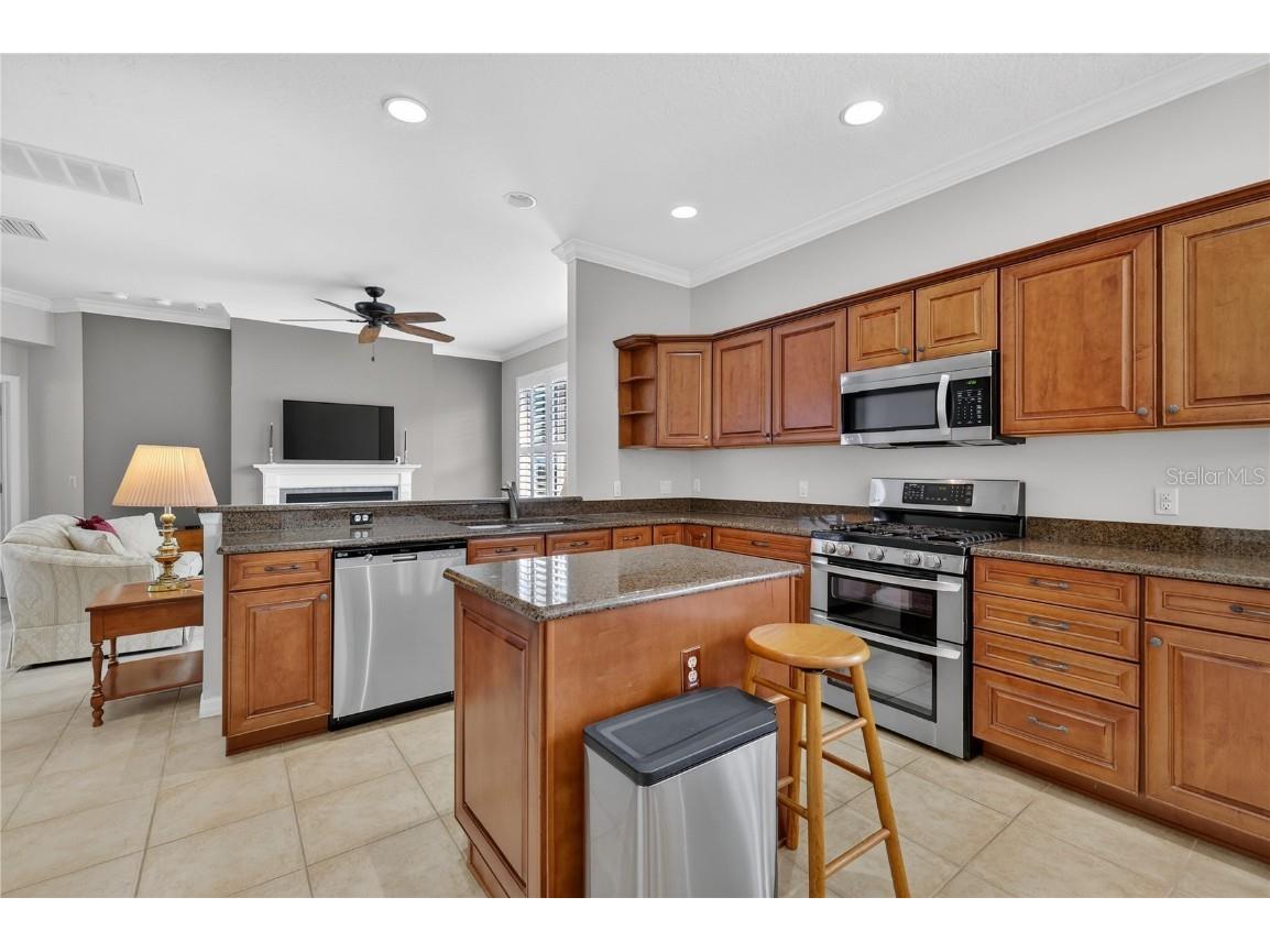 4719 Heritage Trail Leesburg FL 34748 OM714339 image17