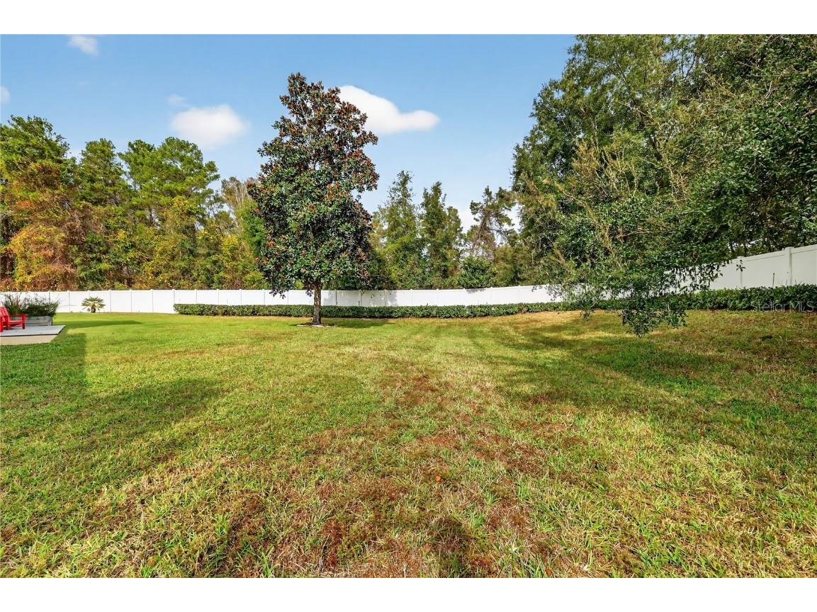 4719 Heritage Trail Leesburg FL 34748 OM714339 image32