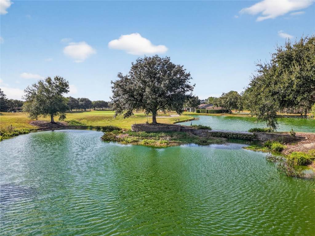 4719 Heritage Trail Leesburg FL 34748 OM714339 image37