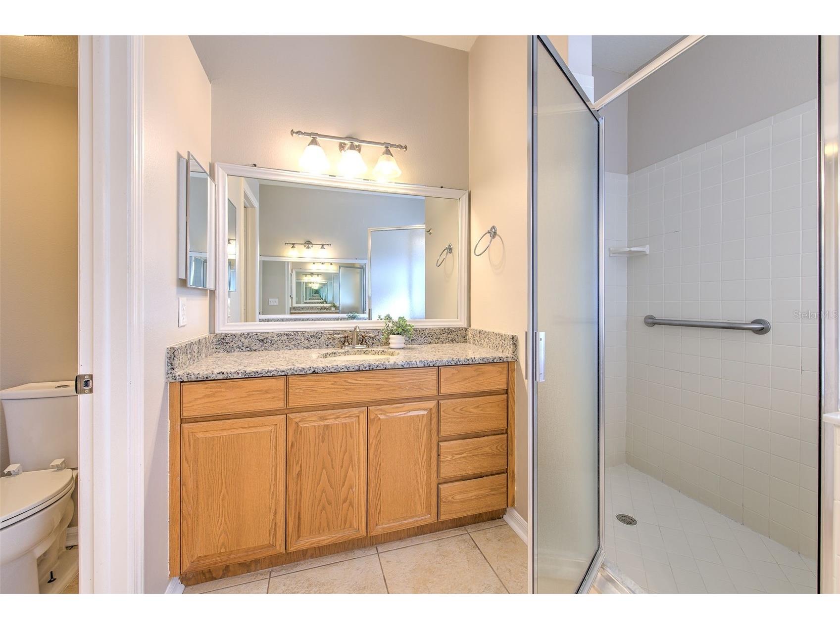 4719 Portobello Circle Valrico FL 33596 TB8479366 image20