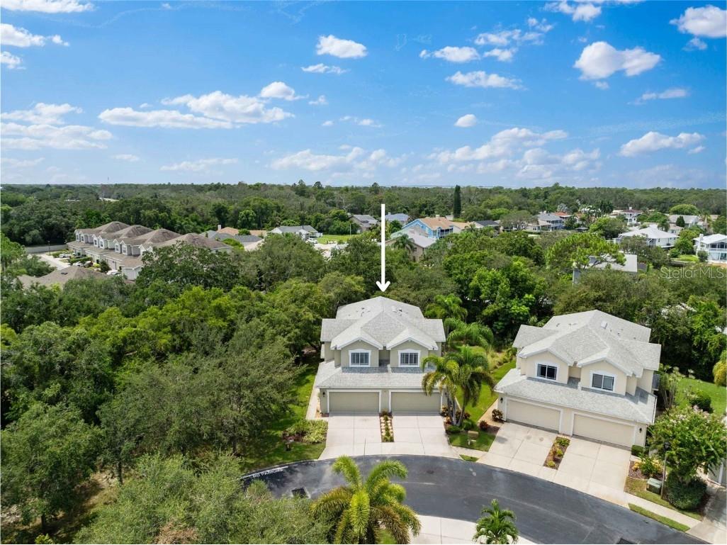 472 Harbor Ridge Drive Palm Harbor FL 34683 U8246099 image1