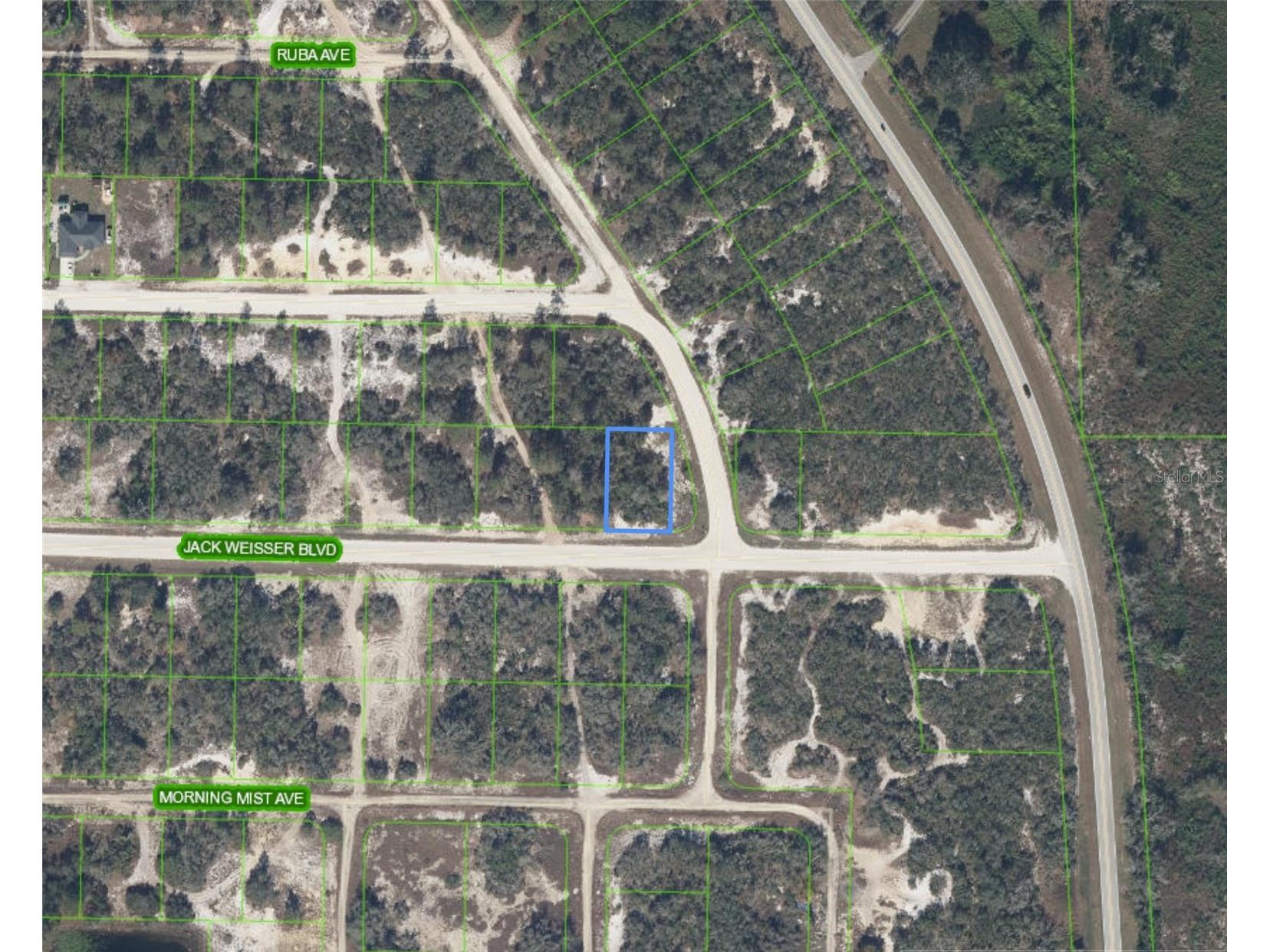 472 Jack Weisser Boulevard Lake Placid FL 33852 P4938860 image1