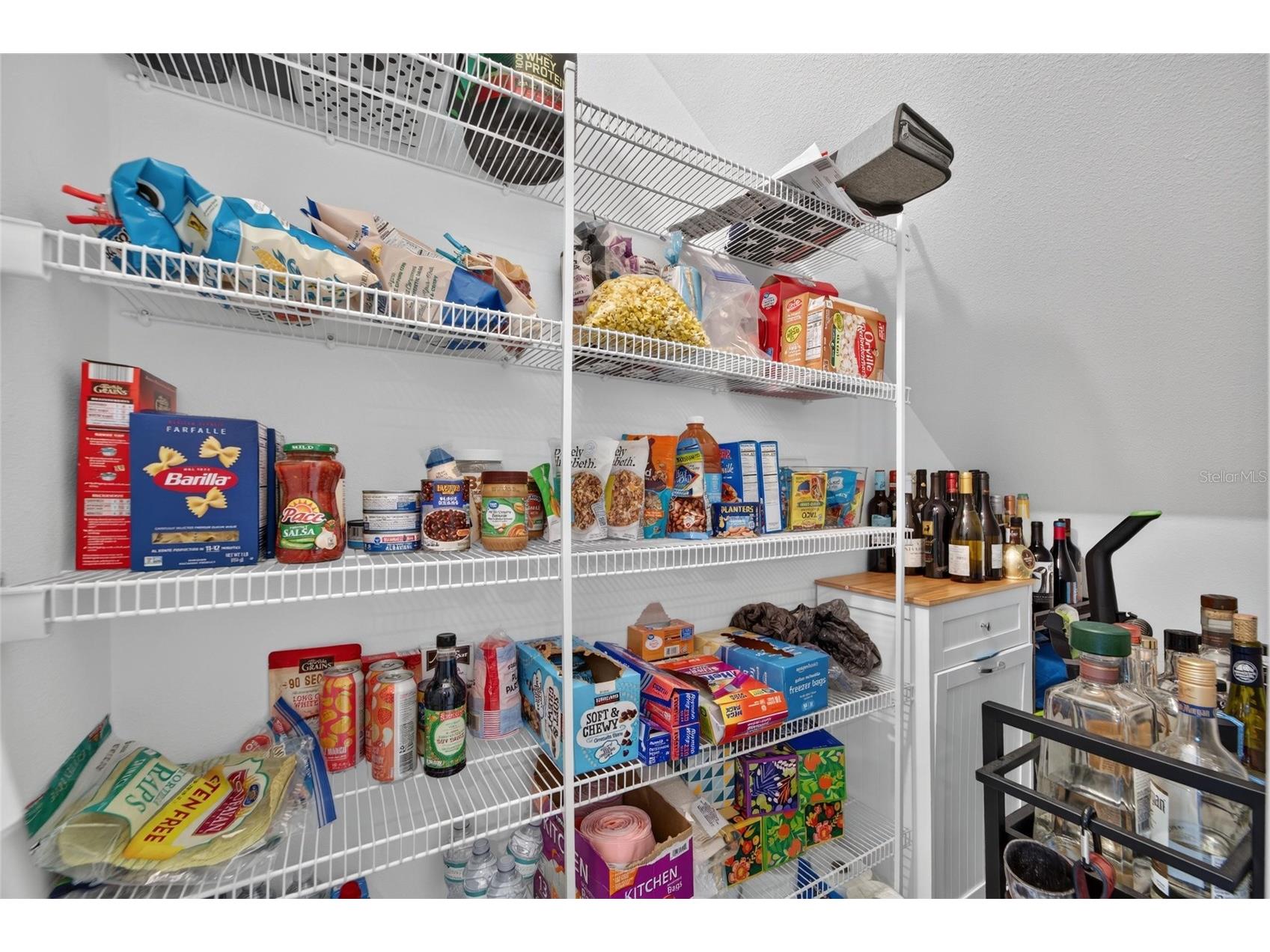472 Mangrove Shade Circle Apollo Beach FL 33572 TB8521113 image32