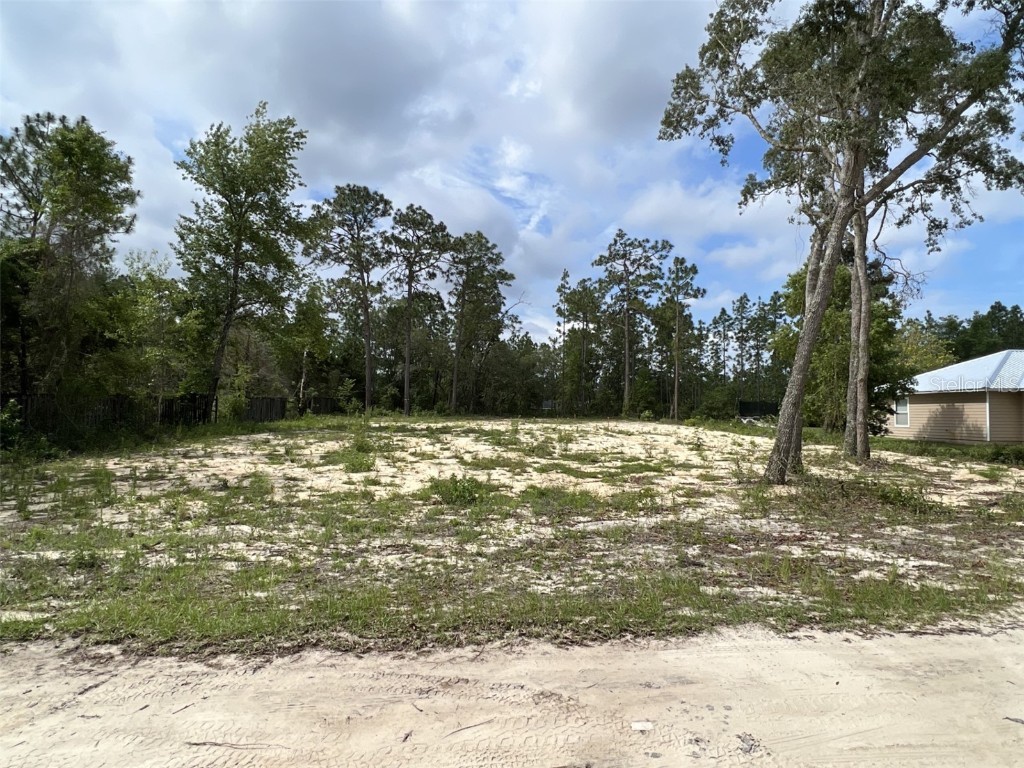 472 SE 50th Street Keystone Heights FL 32656 FC291839 image1