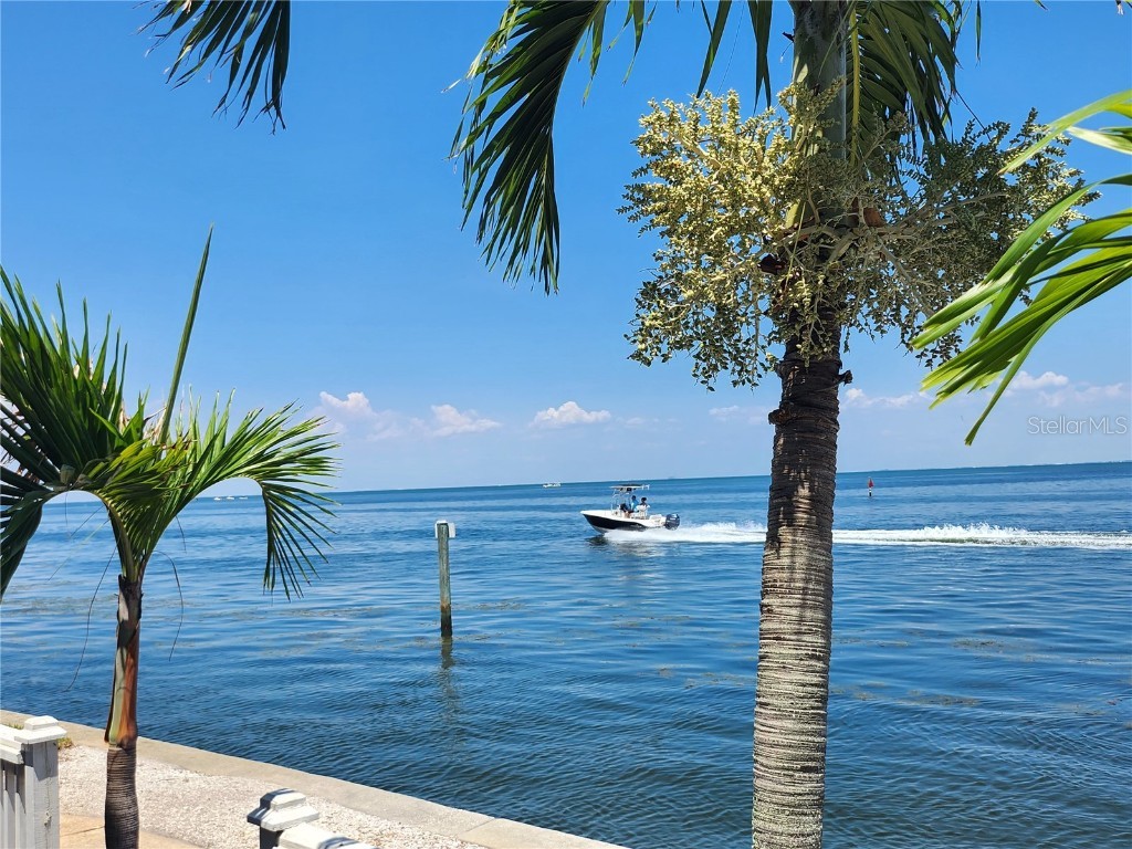 4720 Coquina Key Drive SE #A Saint Petersburg FL 33705 T3468381 image1