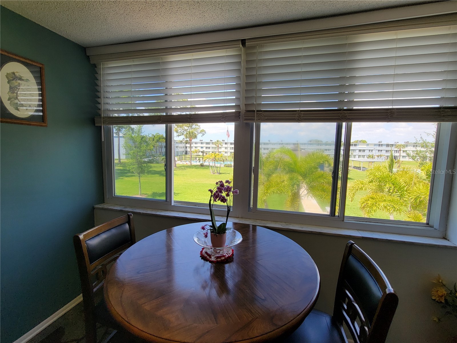 4720 Locust Street NE #219 Saint Petersburg FL 33703 TB8497583 image24