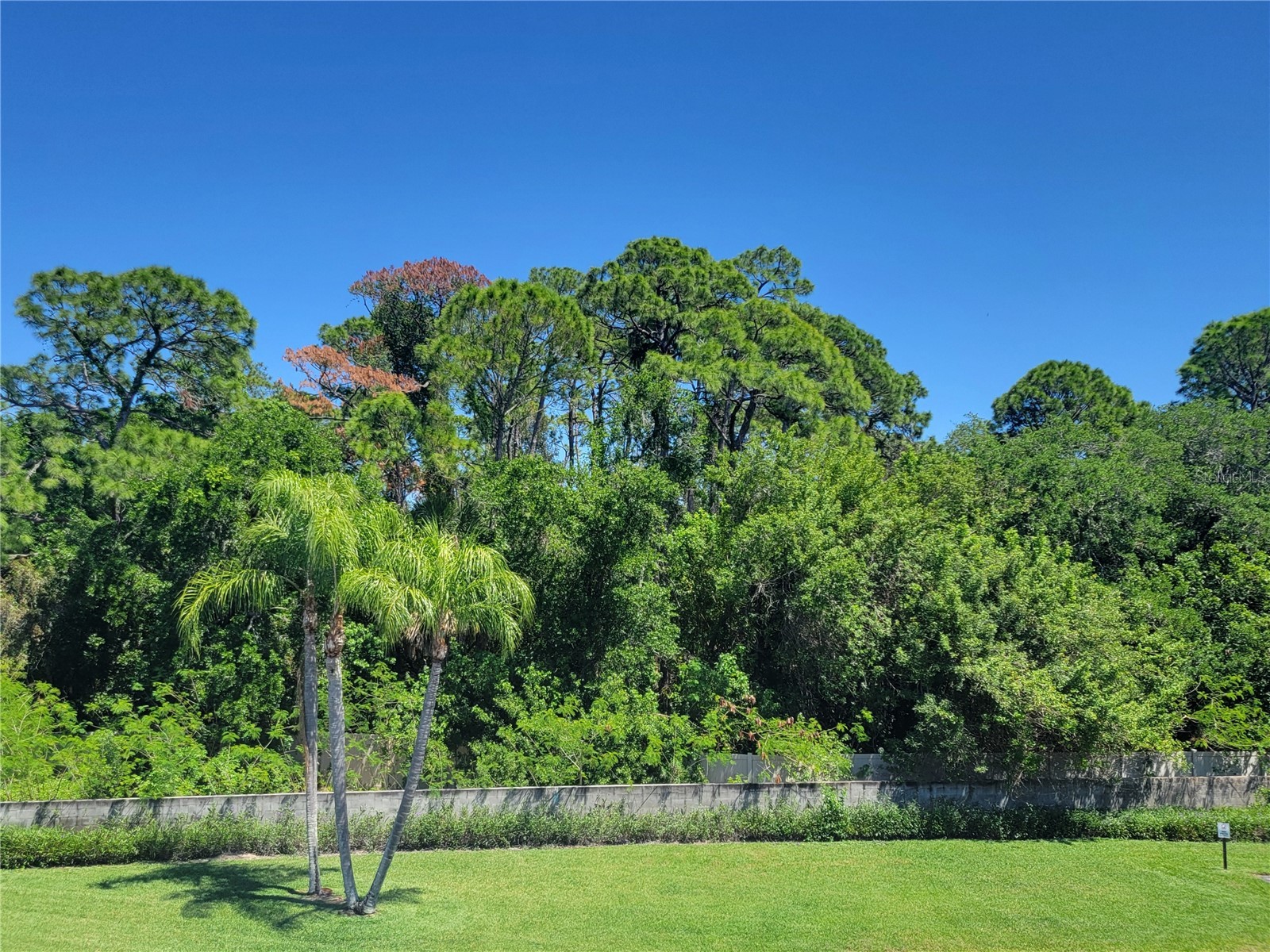 4720 Locust Street NE #219 Saint Petersburg FL 33703 TB8497583 image3
