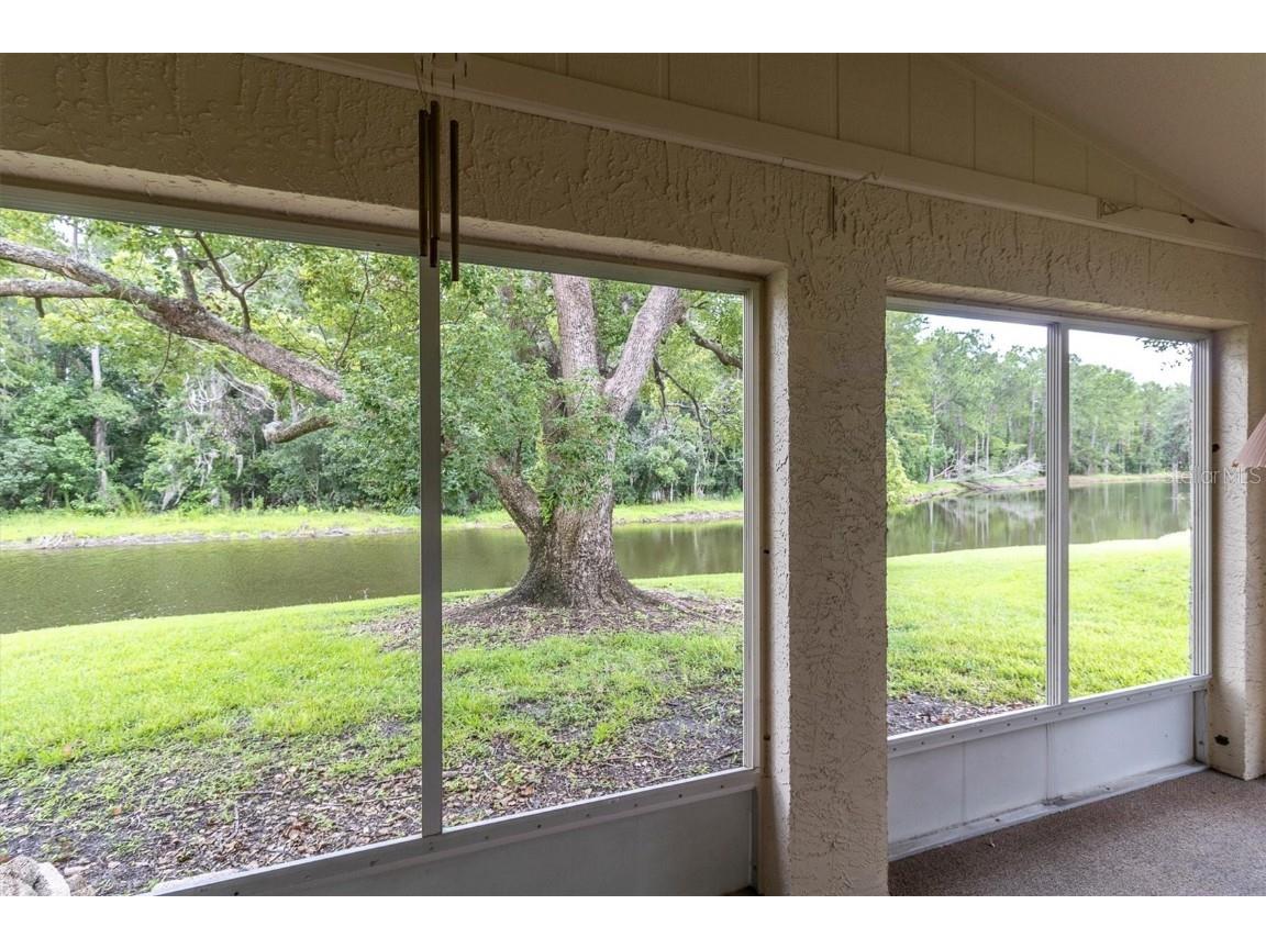 4720 Sheffield Drive #4720 New Port Richey FL 34655 W7876968 image28