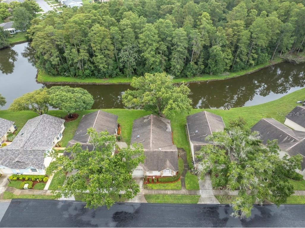 4720 Sheffield Drive #4720 New Port Richey FL 34655 W7876968 image38