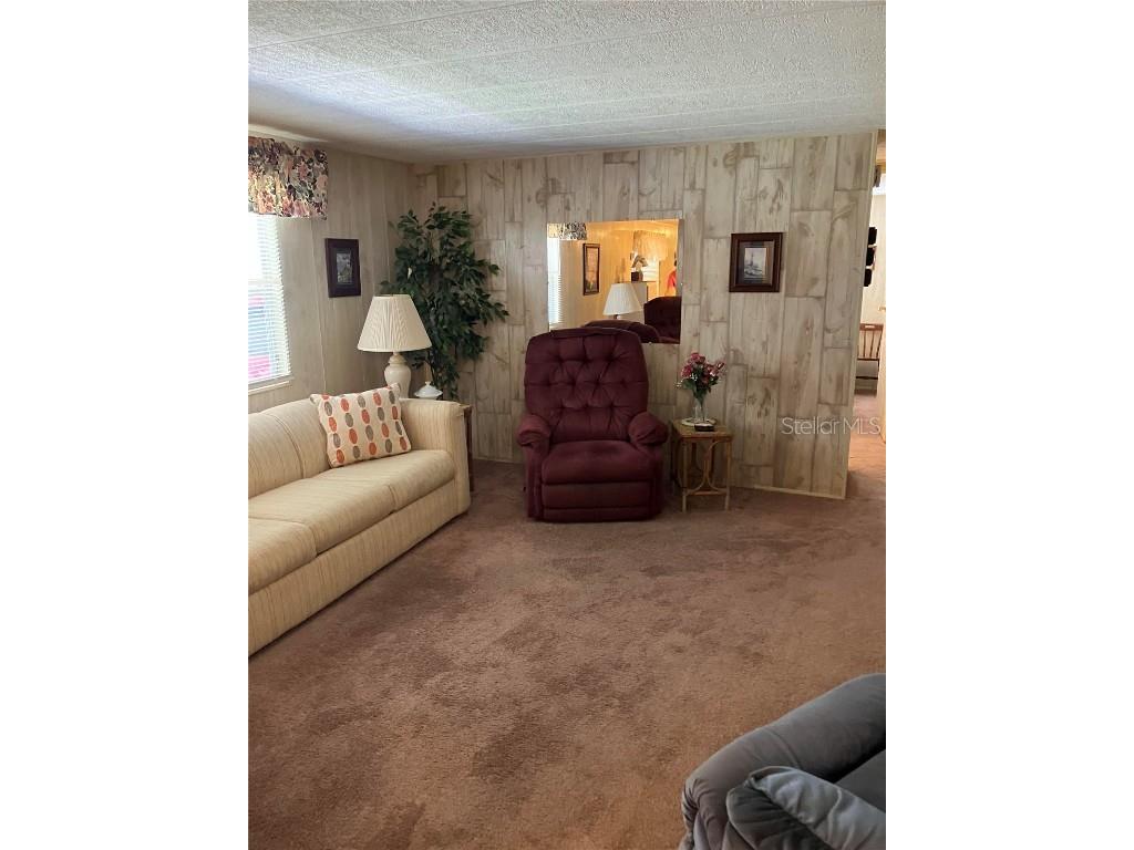 4721 Burney Drive Holiday FL 34690 TB8441103 image3