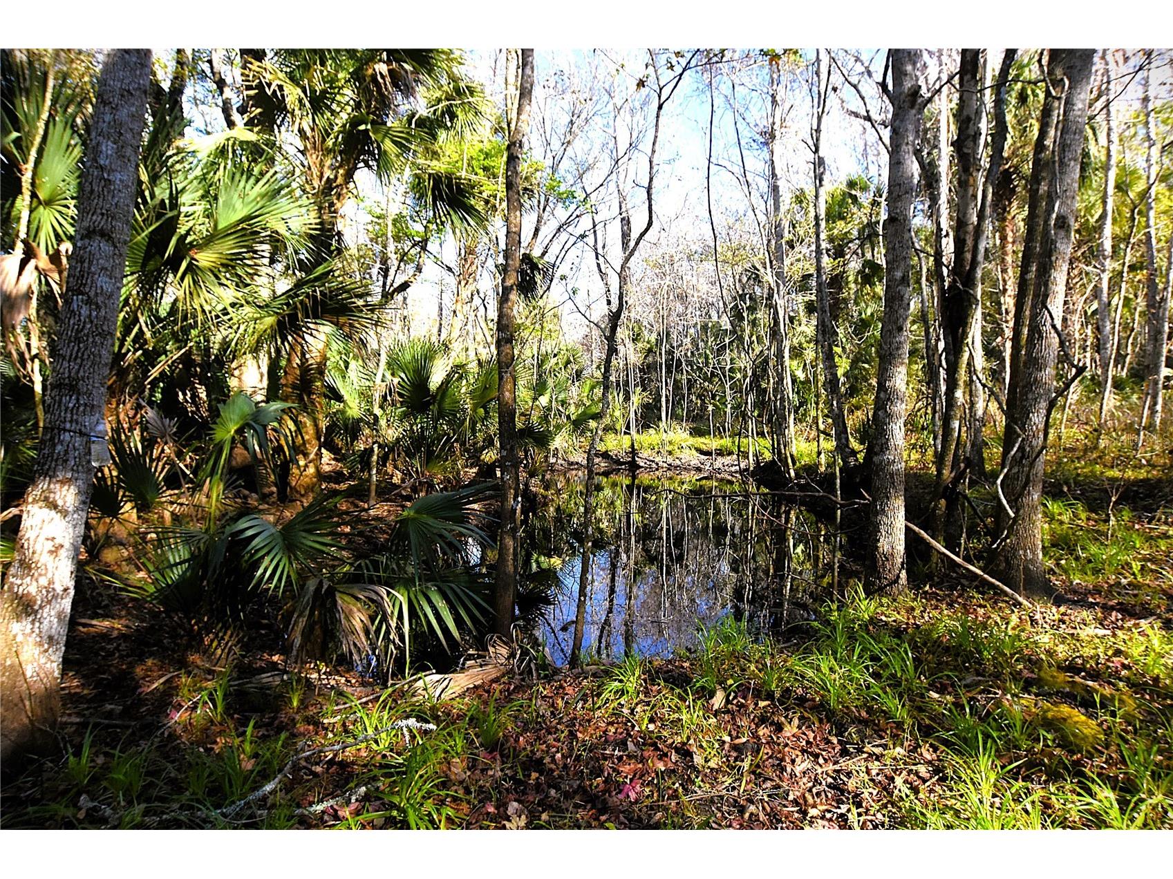 4721 Lingo Grove Road Edgewater FL 32141 NS1087281 image1