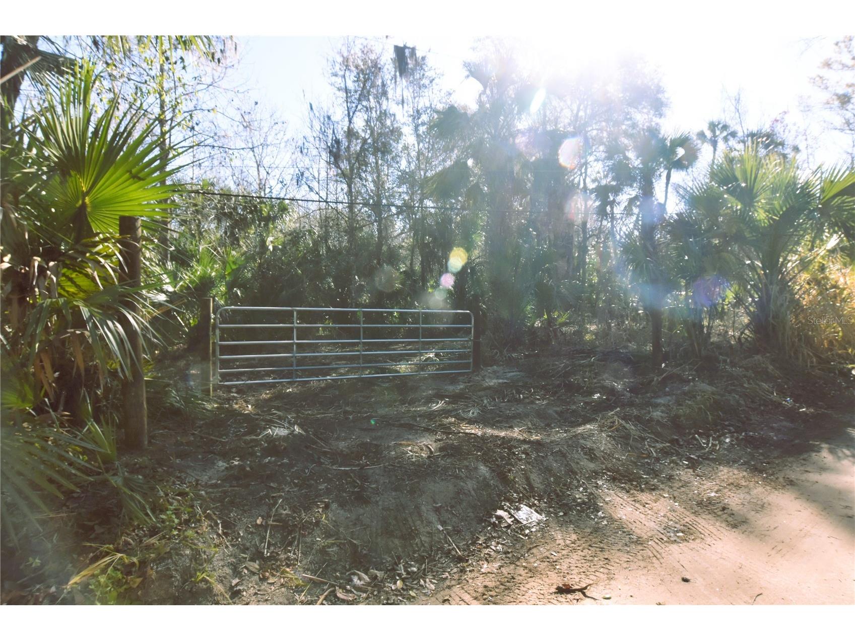 4721 Lingo Grove Road Edgewater FL 32141 NS1087281 image10
