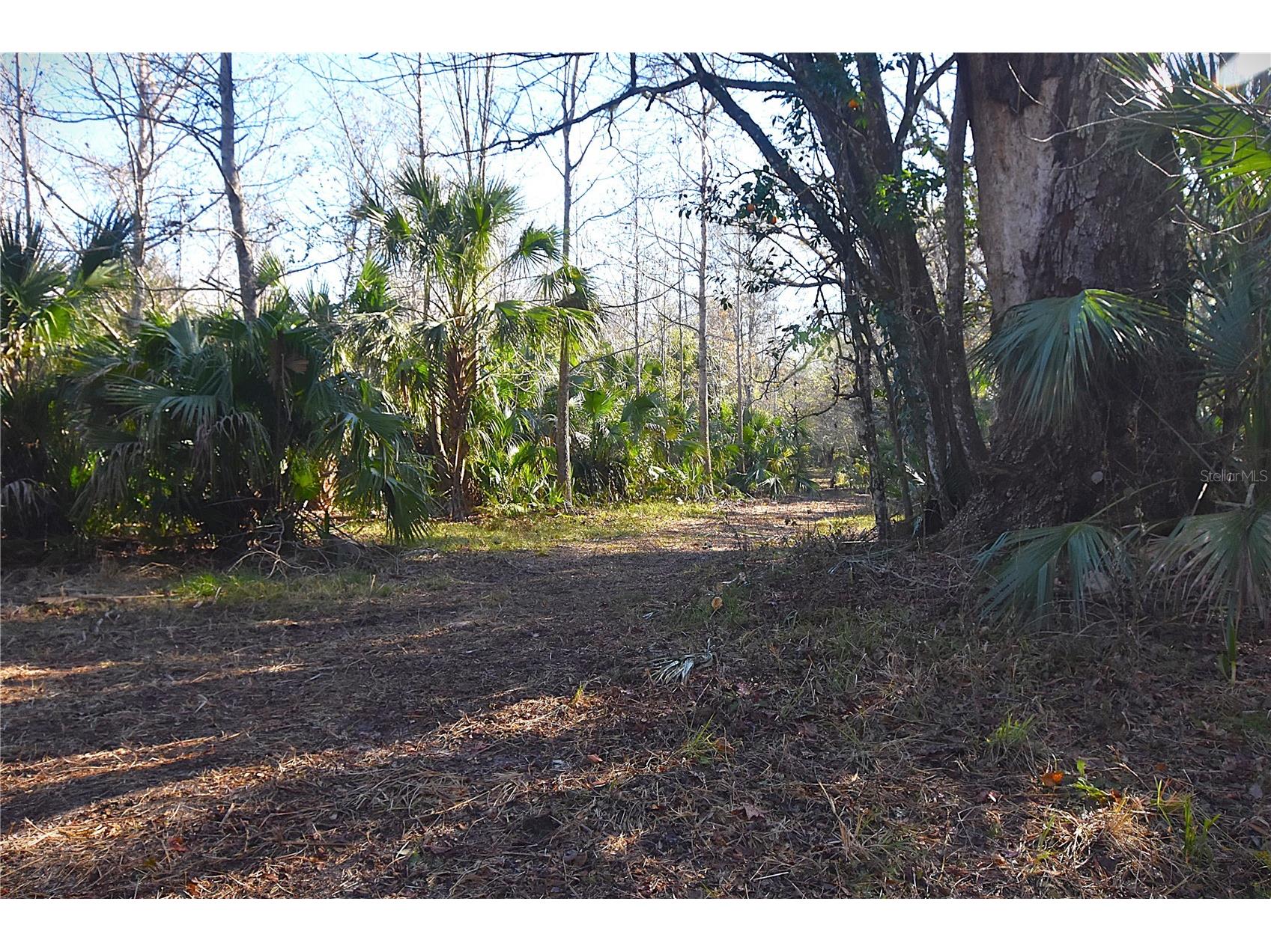 4721 Lingo Grove Road Edgewater FL 32141 NS1087281 image2