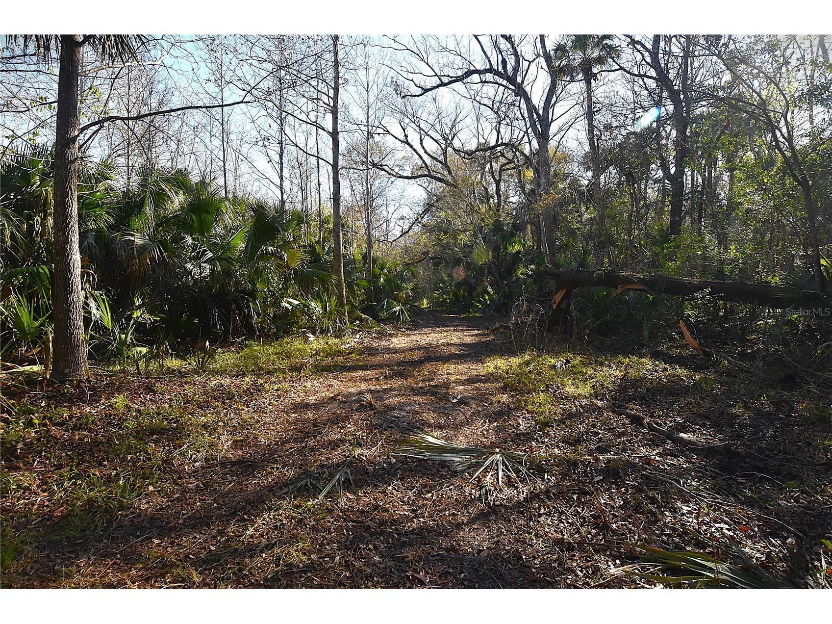 4721 Lingo Grove Road Edgewater FL 32141 NS1087281 image3