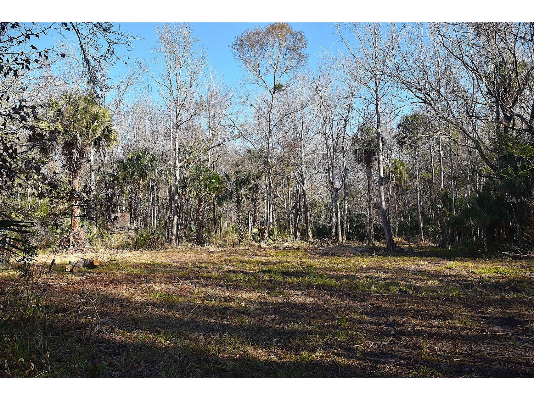 4721 Lingo Grove Road Edgewater FL 32141 NS1087281 image4