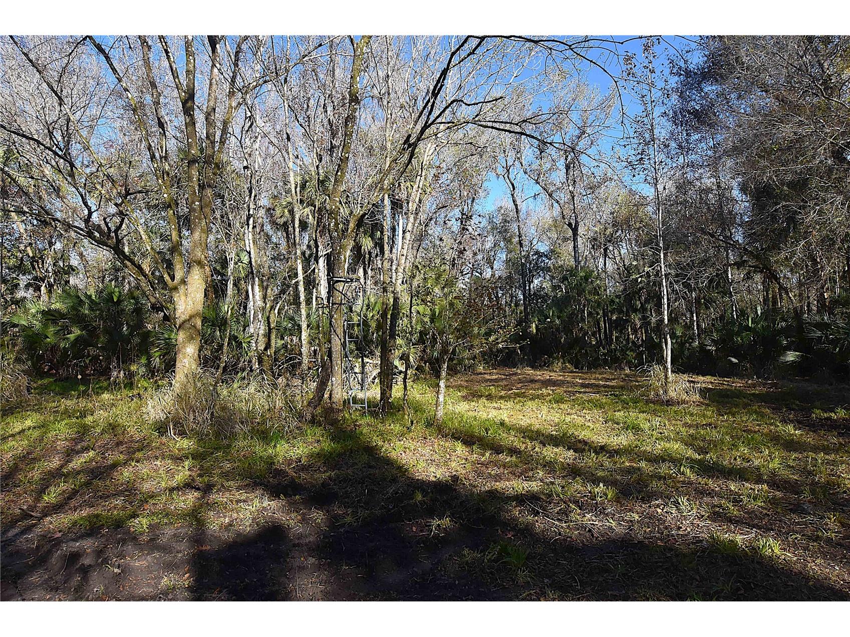 4721 Lingo Grove Road Edgewater FL 32141 NS1087281 image5