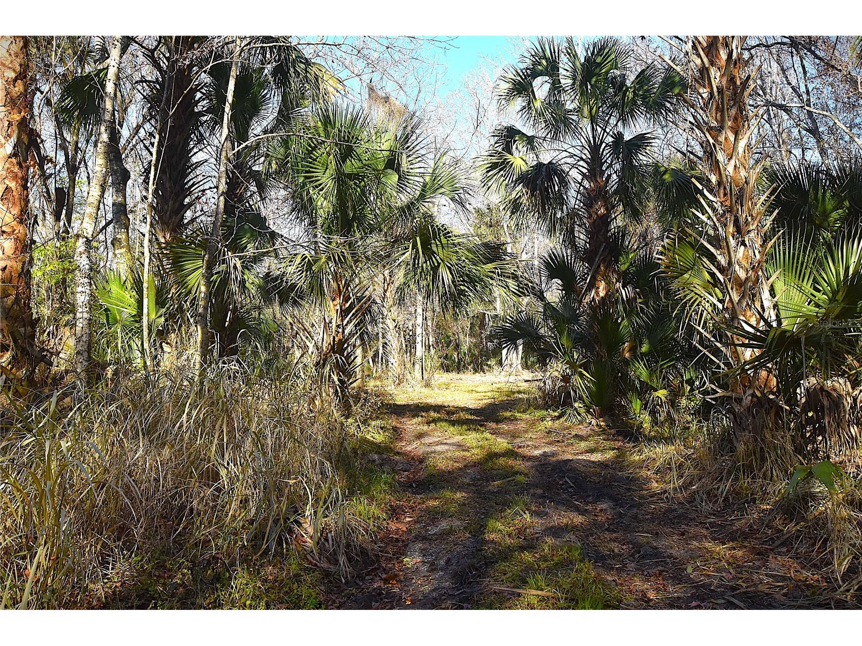 4721 Lingo Grove Road Edgewater FL 32141 NS1087281 image6