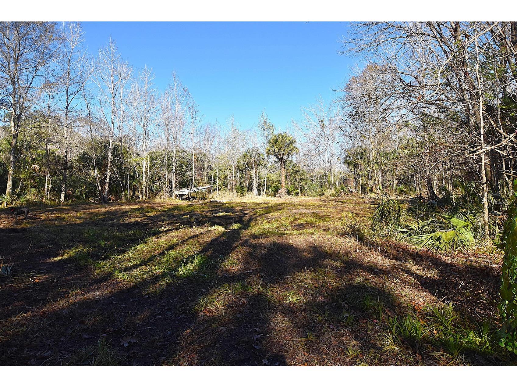 4721 Lingo Grove Road Edgewater FL 32141 NS1087281 image7