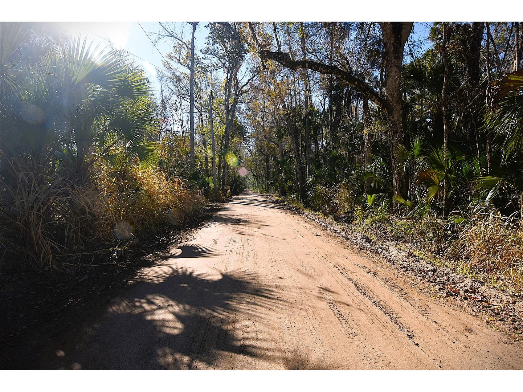 4721 Lingo Grove Road Edgewater FL 32141 NS1087281 image8