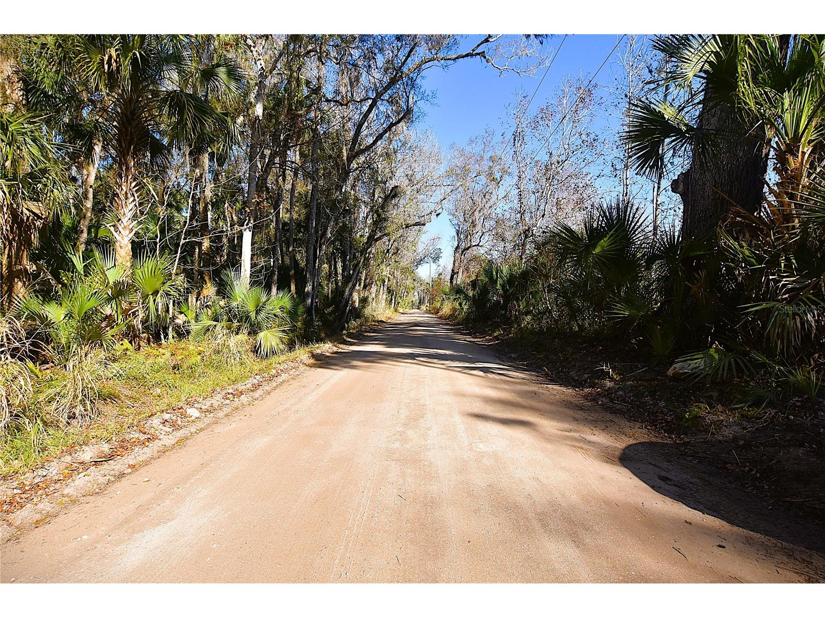 4721 Lingo Grove Road Edgewater FL 32141 NS1087281 image9