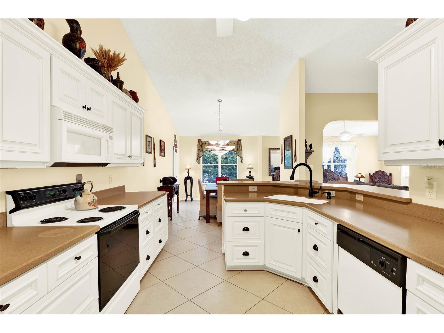 4721 Tara View Road Leesburg FL 34748 O6380183 image4