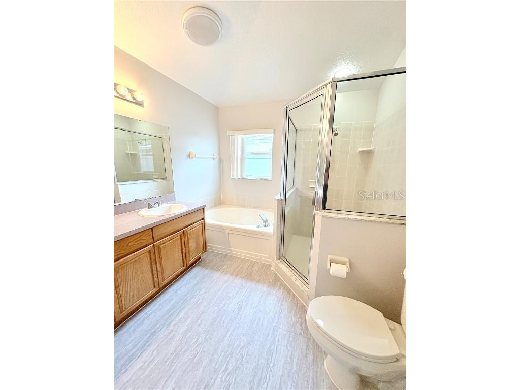 4722 Roundview Court Land O Lakes FL 34639 TB8445501 image20