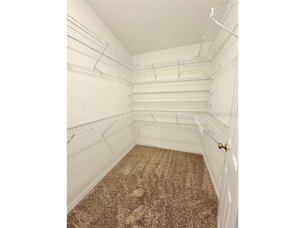 4722 Roundview Court Land O Lakes FL 34639 TB8445501 image21